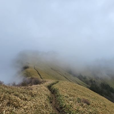 naruobi0210's profile picture. 