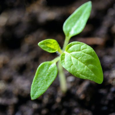 energy_mater's profile picture. Endless learning will give you super freedom... Enjoy! 
I am not a SEBI Registered Research Analyst. All Posts, Views & Ideas are for Educational purposes only.