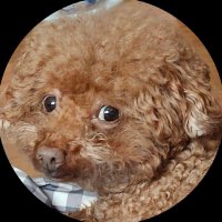 YUN🍵 (@yunm32) 's Twitter Profile