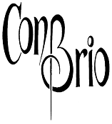a music association for the promotion of classical music in the North West of Ireland