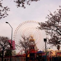 lemo🏳🌈🏳️⚧️🕊 (@lemo69883657) 's Twitter Profile Photo lemo🏳🌈🏳️⚧️🕊 (@lemo69883657) 's Twitter Profile Photo