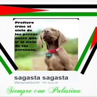 sagasta sagasta(@cleosagas1) 's Twitter Profile Photo