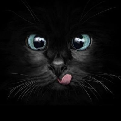 chamosolano's profile picture. 