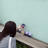 なっぱ (@qqq_nap) 's Twitter Profile