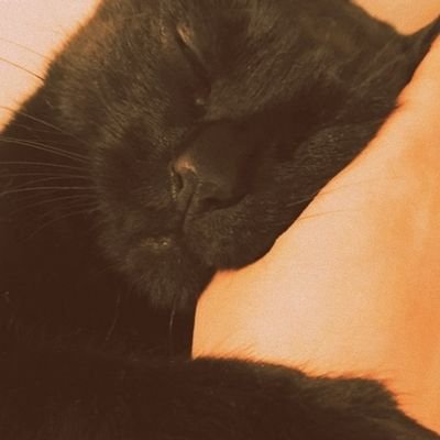 HARLiiiii8126's profile picture. nada que decir .