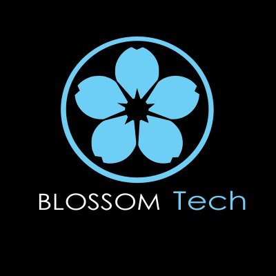 Hello and welcome to blossom tech & grafix, computer repair service.