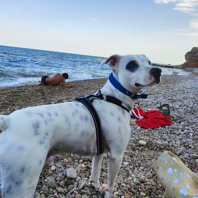 FedericoJMB's profile picture. Padre, esposo, familia. Vida.