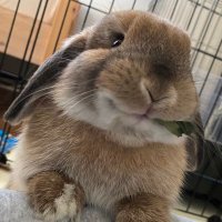 mug (@mugiii_121) 's Twitter Profile Photo