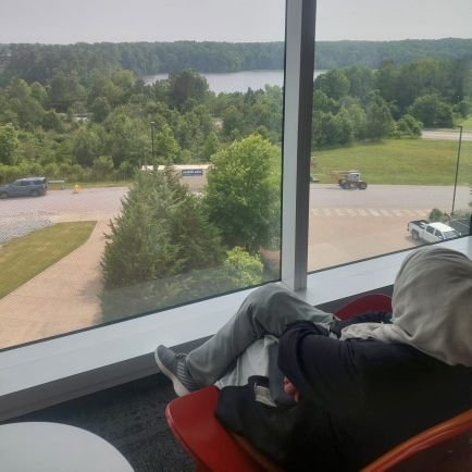 scientistwork's profile picture. a PhD scholar, navigating my way around