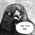 Mad Old Crow (@happy_crone) Twitter profile photo Mad Old Crow (@happy_crone) Twitter profile photo
