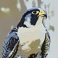 Rmdir (@2017_since) 's Twitter Profile