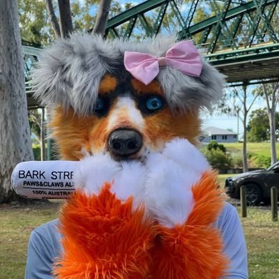 Furry AUS Sheppo Floofst*r 
Bi,Demi.
🔜 WAFF24, MFC-24
Chef ,I.T , Ham-Radio Com, Nurse. 
I❤️ friends & family and good happy fun/Party.
Happy 2 make friends!.