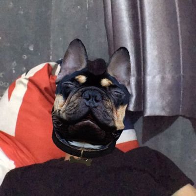 rivalroyzordi's profile picture. 