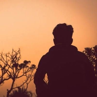 BessDarks's profile picture. I love photography and digital collectibles.