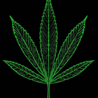 cook_torra36606's profile picture. 