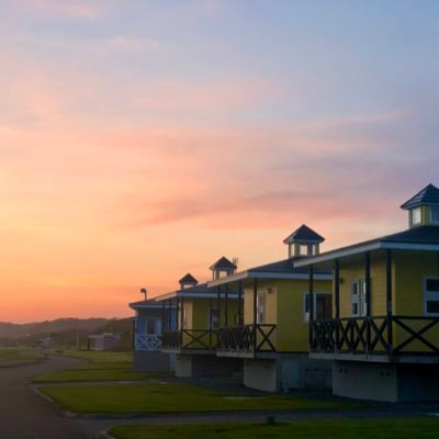 realeconomy_ezo's profile picture. 