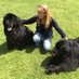 🐾 ∂ιαиє 🐾 (@dianeskilldiane) Twitter profile photo 🐾 ∂ιαиє 🐾 (@dianeskilldiane) Twitter profile photo