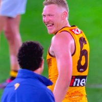HFC Supporters Page (@hawthornfcsp) 's Twitter Profile
