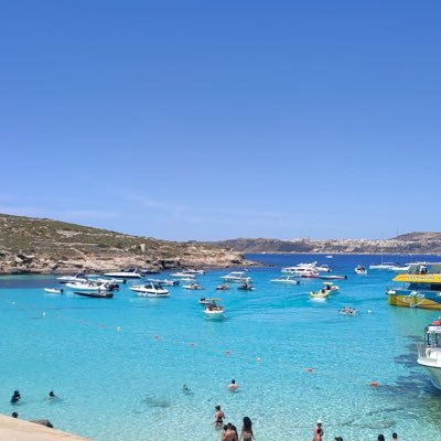 damedesodamemas's profile picture. 