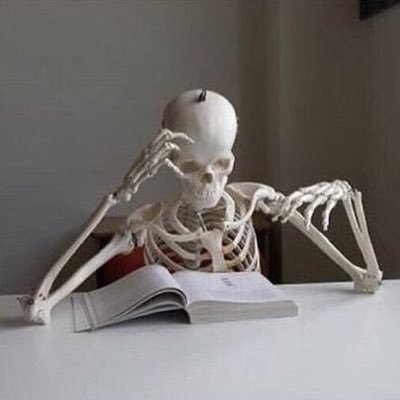 WillySulter's profile picture. 