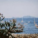 Steven Archie - @StevenArchieSr - Twitter