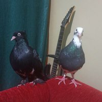 Snr (@duranza45) 's Twitter Profile Photo