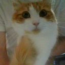 Keaton Stuart - @KeatonStua96052 - Twitter