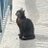 zade_farvardin's profile image