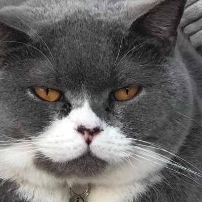 lshmay96's profile picture. 