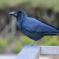 VTUBERまとめ御殿@相互フォロー (@vtuber120156572) 's Twitter Profile