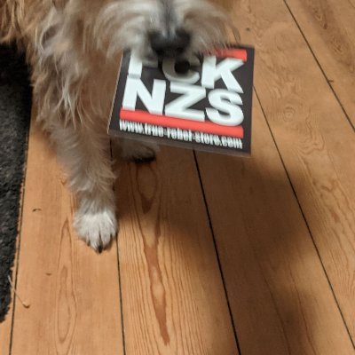 Kaethekolumna's profile picture. Nazis muss man jagen, Antifa das war's. NO terfs, swerfs, libs usw. bidde, danke. 🏴🦨🐩🌈🌱🧁 she|her 💜 https://t.co/87qZRVtEY2…