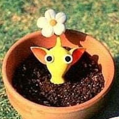 n16n70's profile picture. ✧ ❁*.ﾟ•͙┄✩ͯ•͙͙ 𝒩𝒜𝒪 サブ垢 ✩ͯ•͙͙ ┄•͙❁⃘*.ﾟ✧                                     日常垢✨
好きなモノが好き👻心霊垢  (@Nao16Tio30)