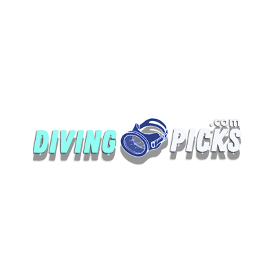 Welcome to DivingPicks! 🌊🤿 We are your go-to source for all things diving.