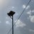 Shristi36451015's profile image