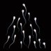Breeding Station (@breedingstation) Twitter profile photo Breeding Station (@breedingstation) Twitter profile photo