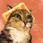 Alex92601321's profile image