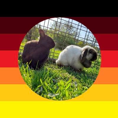 Koboideu's profile picture. #Stolzmonat ich war dabei
🥝