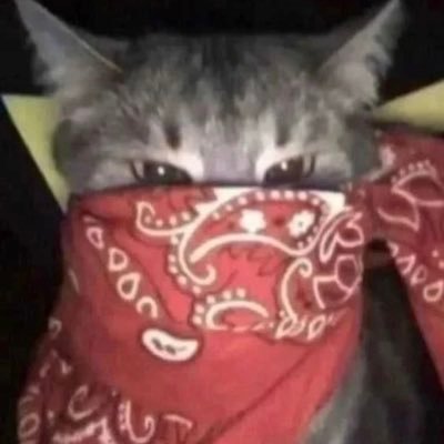 Maxsoow__'s profile picture. #LibertéPourLesUltras