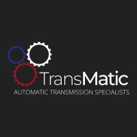 TransMatic(@transmatic_) 's Twitter Profile Photo