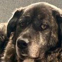 Peter Spooner - @PeterSpoon21147 - Twitter