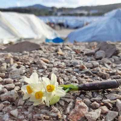 SineRefugio's profile picture. Over a decade wandering and wondering, a refugee without refuge.

Venivnt | Video | Invictvs Svm