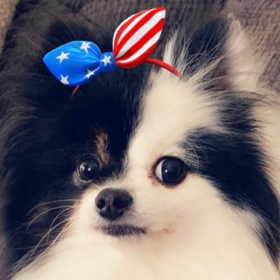 KatGCujo's profile picture. Proud mom, breast cancer survivor, coffee addict, beach bum. No DM’s.