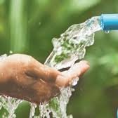 carlota_SUDS's profile picture. Soy Carlota Bernal, doctoranda de la Escuela Técnica Superior de Ingeniería Agronómic, Alimentaria y de Biosistemas en la Universidad Politécnica de Madrid