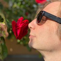 Jens Friebe (@jens_friebe) 's Twitter Profile