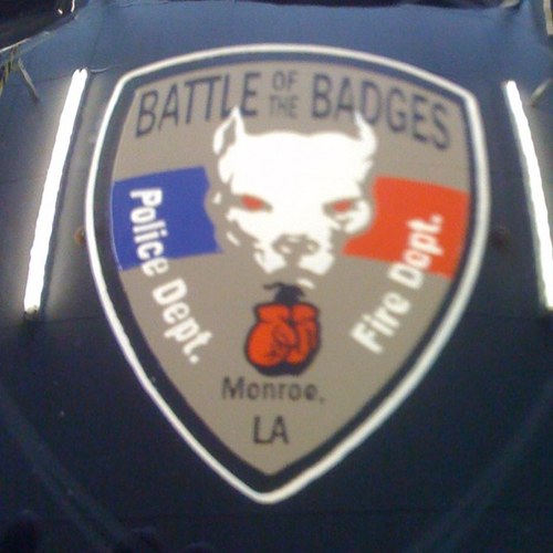 BOTBMLION's profile picture. 🔥🦁🔥🦁🔥🦁