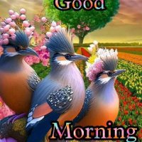ap (@ap4610880861361) 's Twitter Profile