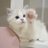 Audrie_xx's profile image