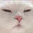 yuckfou04's profile image