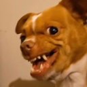 Tyrone Davidson - @Ty77148Tyrone - Twitter