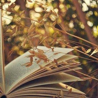 DustMr188648's profile picture. ~  A bibliophile